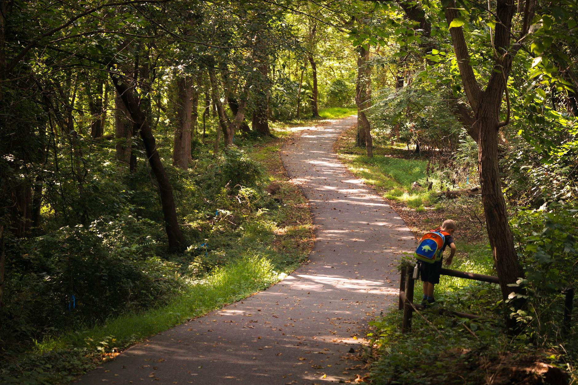 Dziecko z kolorowym plecakiem idzie leśną ścieżką podczas wyprawy