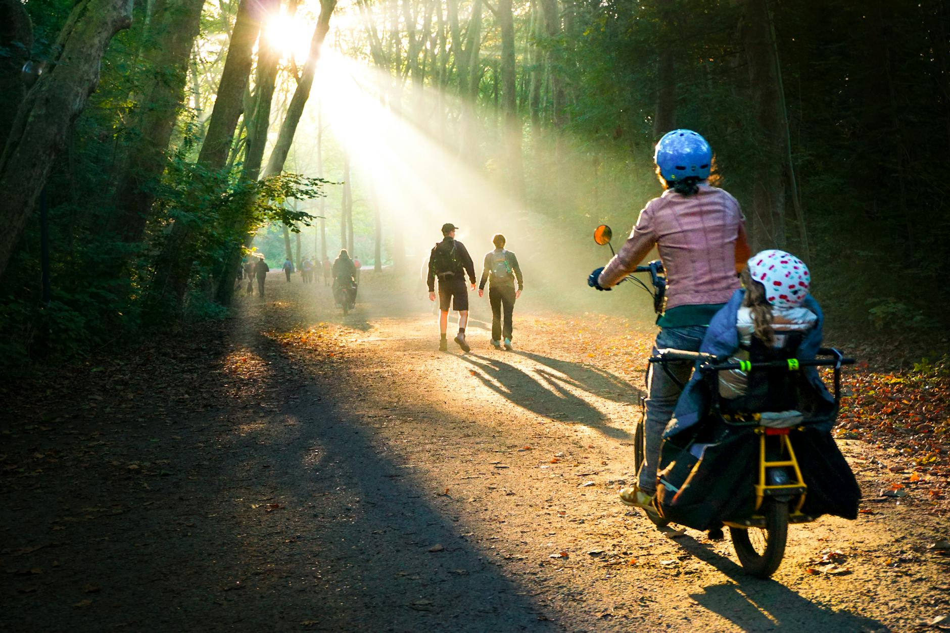 Rowerzyści z dziećmi na leśnej ścieżce w słoneczny dzień